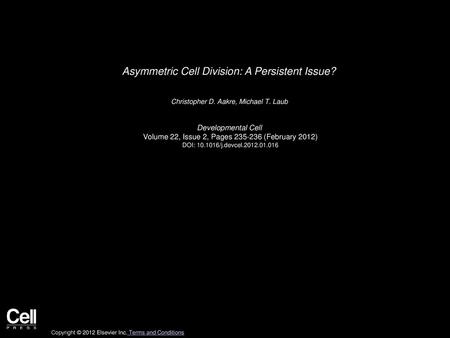 Asymmetric Cell Division: A Persistent Issue?