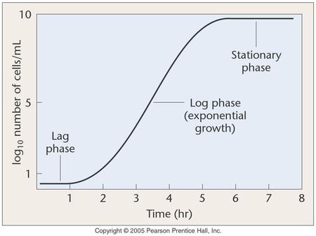 Figure: 09-01 Title: Bacterial Population Growth Curve Caption: