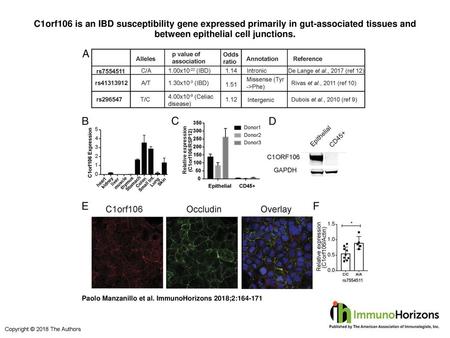 C1orf106 is an IBD susceptibility gene expressed primarily in gut-associated tissues and between epithelial cell junctions. C1orf106 is an IBD susceptibility.