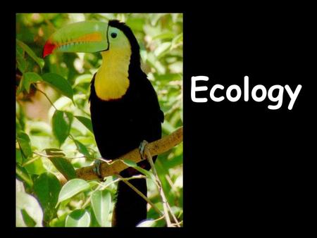 Ecology.