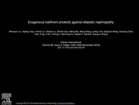 Exogenous kallikrein protects against diabetic nephropathy