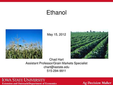 Assistant Professor/Grain Markets Specialist