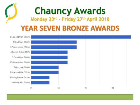 YEAR SEVEN BRONZE AWARDS