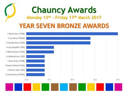 YEAR SEVEN BRONZE AWARDS