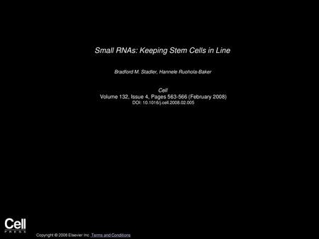 Small RNAs: Keeping Stem Cells in Line