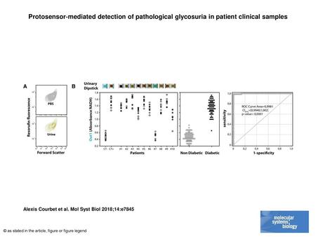 Protosensor‐mediated detection of pathological glycosuria in patient clinical samples Protosensor‐mediated detection of pathological glycosuria in patient.