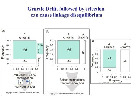 Genetic Drift, followed by selection can cause linkage disequilibrium