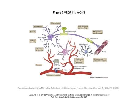 Nat. Rev. Neurol. doi: /nrneurol