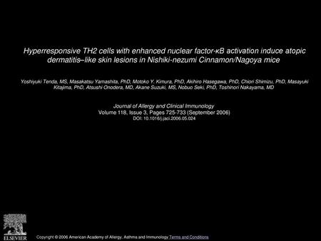 Hyperresponsive TH2 cells with enhanced nuclear factor-κB activation induce atopic dermatitis–like skin lesions in Nishiki-nezumi Cinnamon/Nagoya mice 