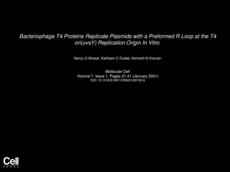 Bacteriophage T4 Proteins Replicate Plasmids with a Preformed R Loop at the T4 ori(uvsY) Replication Origin In Vitro  Nancy G Nossal, Kathleen C Dudas,