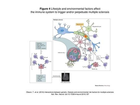 Figure 4 Lifestyle and environmental factors affect