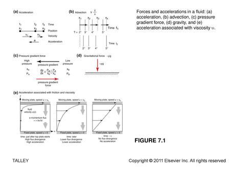 TALLEY Copyright © 2011 Elsevier Inc. All rights reserved