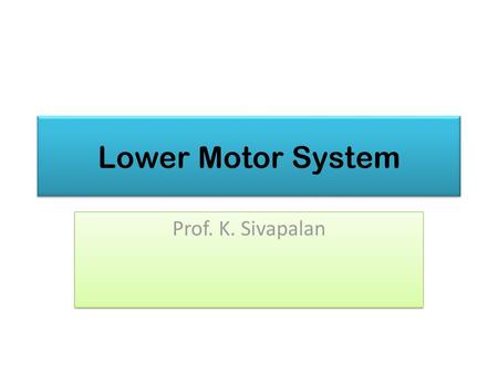 Lower Motor System Prof. K. Sivapalan.