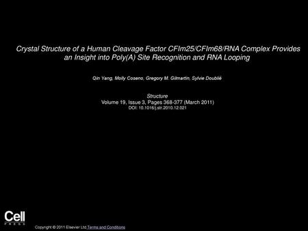 Crystal Structure of a Human Cleavage Factor CFIm25/CFIm68/RNA Complex Provides an Insight into Poly(A) Site Recognition and RNA Looping  Qin Yang, Molly.