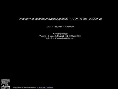 Ontogeny of pulmonary cyclooxygenase-1 (COX-1) and -2 (COX-2)