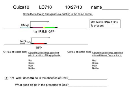 Quiz#10 LC710 10/27/10 name___________