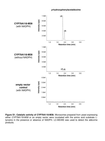 p-hydroxyphenylacetaldoxime