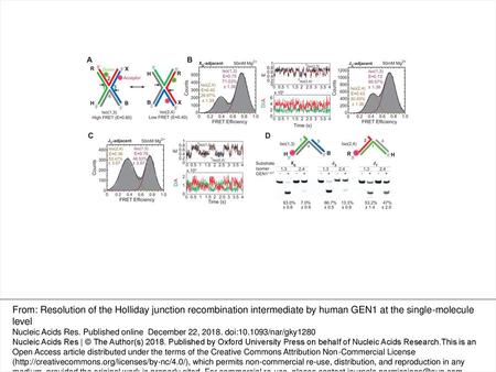 Figure 1. Conformation capturing of the HJ by GEN1