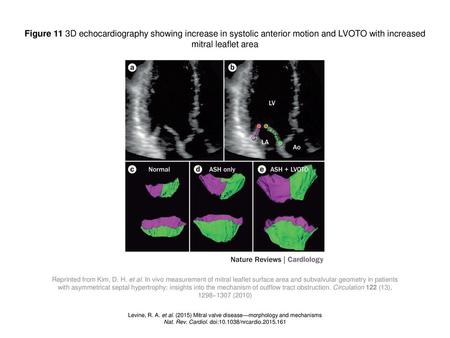 Nat. Rev. Cardiol. doi: /nrcardio