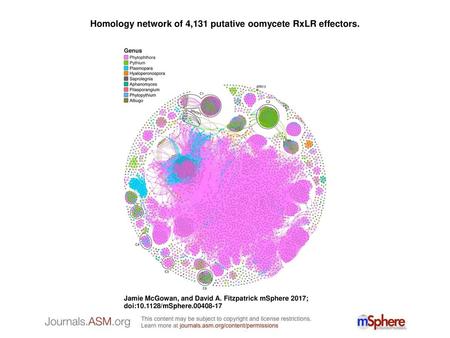 Homology network of 4,131 putative oomycete RxLR effectors.