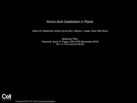 Amino Acid Catabolism in Plants