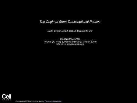 The Origin of Short Transcriptional Pauses