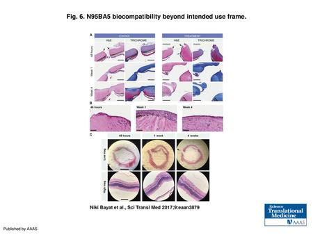 Fig. 6. N95BA5 biocompatibility beyond intended use frame.