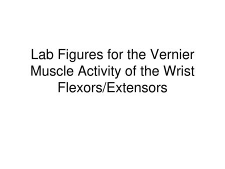 EXTENSORS of the Wrist and Fingers Anchor on the Medial