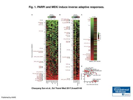 Fig. 1. PARPi and MEKi induce inverse adaptive responses.