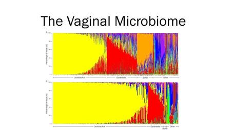 The Vaginal Microbiome