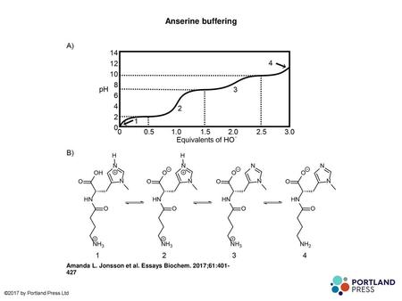 Anserine buffering Anserine buffering (A) A schematic titration curve for anserine, with (B) an illustration of the species present in the reaction mixture.