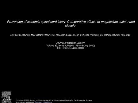 Prevention of ischemic spinal cord injury: Comparative effects of magnesium sulfate and riluzole  Loïc Lang-Lazdunski, MD, Catherine Heurteaux, PhD, Hervé.