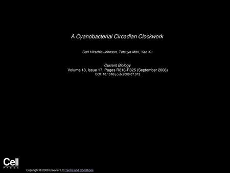 A Cyanobacterial Circadian Clockwork