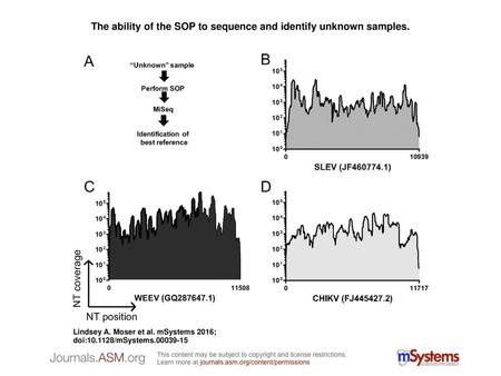 The ability of the SOP to sequence and identify unknown samples.