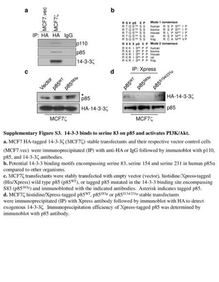 a b c d * MCF7.vec MCF7 IP: HA HA IgG p110 p  p85WT p85S83μ