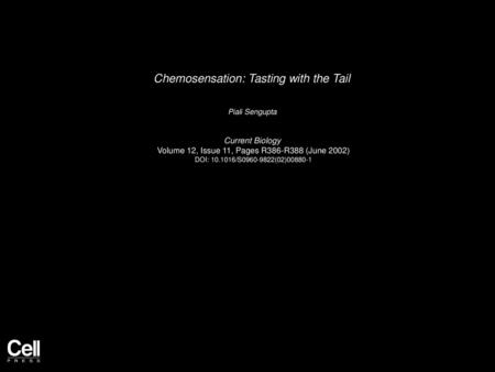 Chemosensation: Tasting with the Tail