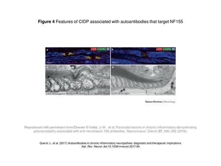 Nat. Rev. Neurol. doi: /nrneurol