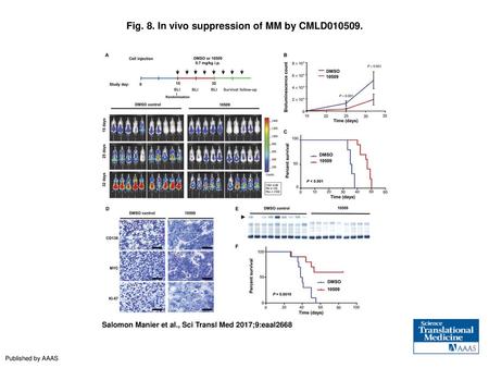 Fig. 8. In vivo suppression of MM by CMLD