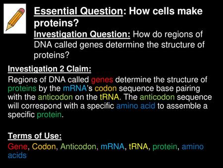 Essential Question: How cells make proteins