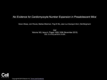 No Evidence for Cardiomyocyte Number Expansion in Preadolescent Mice