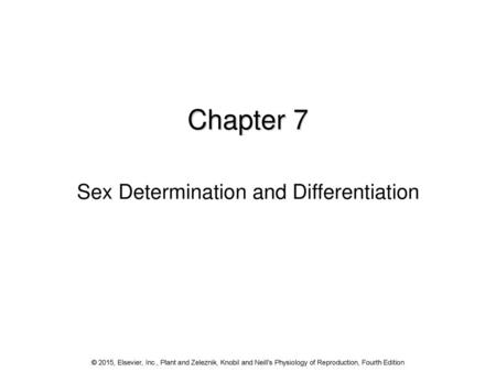 Sex Determination and Differentiation