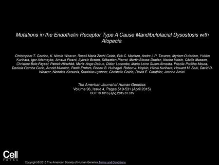 Mutations in the Endothelin Receptor Type A Cause Mandibulofacial Dysostosis with Alopecia  Christopher T. Gordon, K. Nicole Weaver, Roseli Maria Zechi-Ceide,