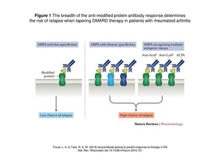 Nat. Rev. Rheumatol. doi: /nrrheum