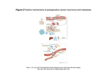 Nat. Rev. Clin. Oncol. doi: /nrclinonc