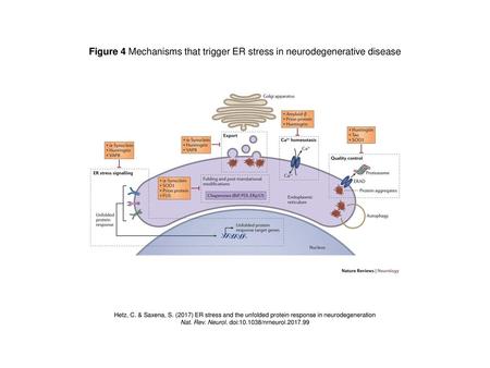 Nat. Rev. Neurol. doi: /nrneurol