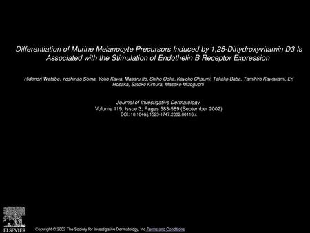 Differentiation of Murine Melanocyte Precursors Induced by 1,25-Dihydroxyvitamin D3 Is Associated with the Stimulation of Endothelin B Receptor Expression 