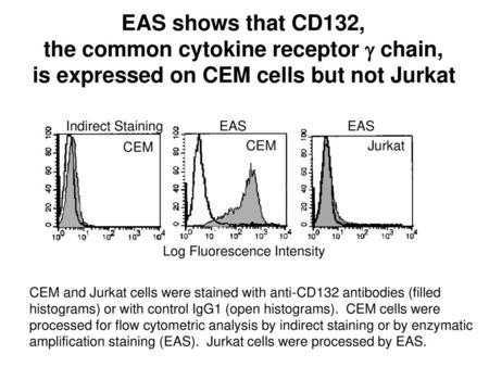 the common cytokine receptor g chain,