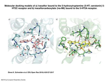 Molecular docking models of a) ivacaftor bound to the 5-hydroxytryptamine (5-HT; serotonin) 5-HT2C receptor and b) ivacaftorcarboxylate (iva-M6) bound.