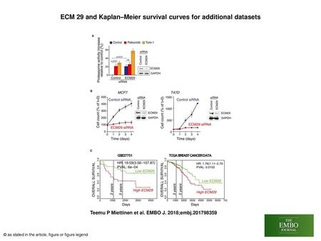 ECM 29 and Kaplan–Meier survival curves for additional datasets