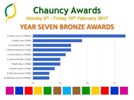 YEAR SEVEN BRONZE AWARDS